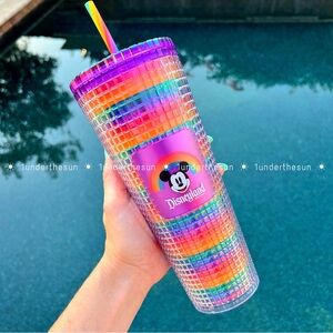 🌈✨ Disney Pride Collection Starbucks® Tumbler Straw Disneyland Rainbow Grid